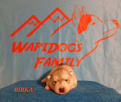 Birka