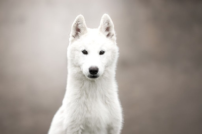 Aux bout de nos rêves "Dream's" 